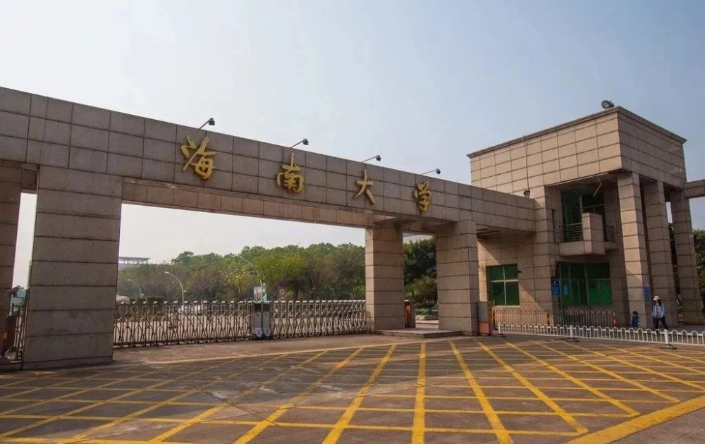海南大学法学院2020_海南大学法学院学生见义勇为救下落水老人(2)