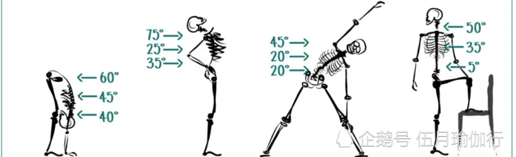 瑜伽为什么越练越腰疼 前屈时应不应该拱背 腾讯新闻