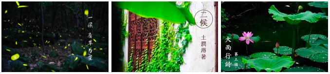 大暑|大暑来了！一年中最热的时候来了……