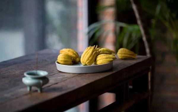 大暑|大暑：热散由心静，凉生为室空