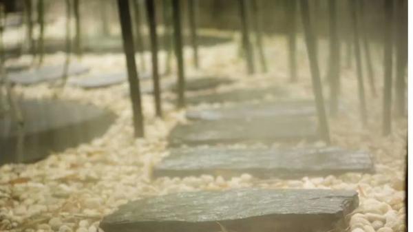 大暑|大暑：热散由心静，凉生为室空