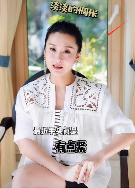 苗圃|苗圃嫁大19岁亿万富豪成贵妇，豪宅装修奢华，曾被送私人飞机