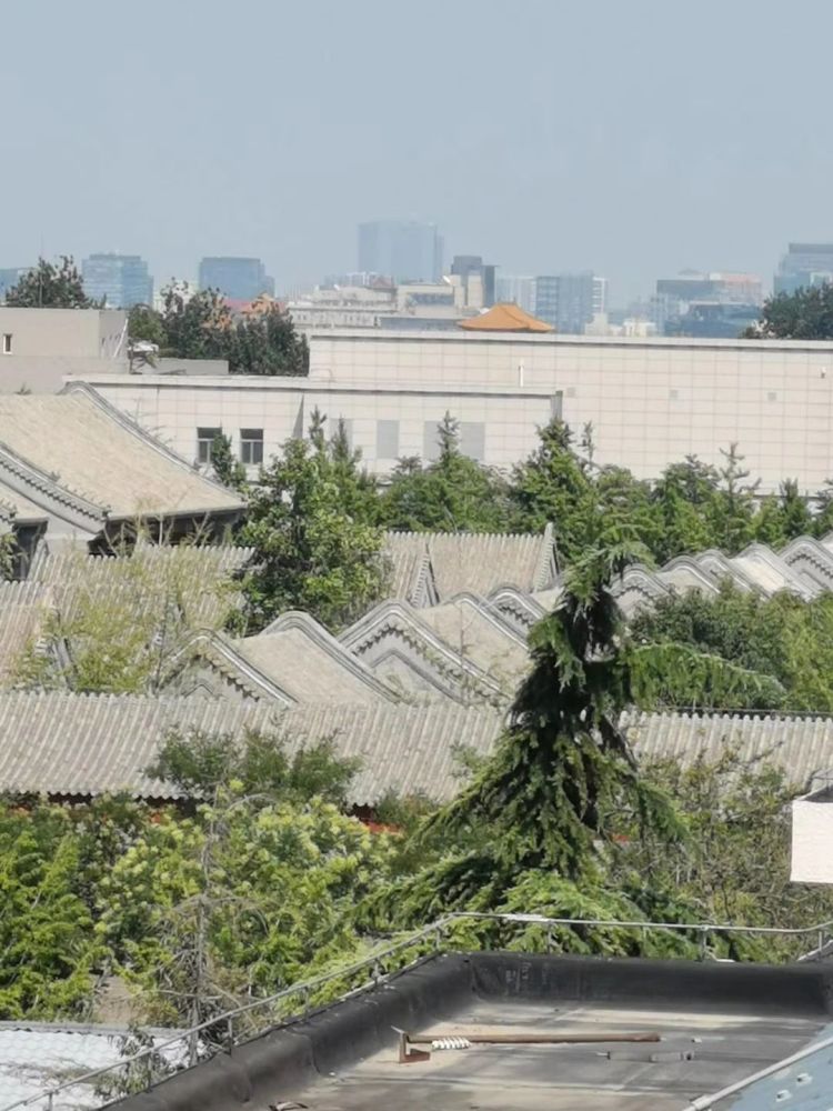 北京|北京最具生活气息的地方藏在胡同、院子里