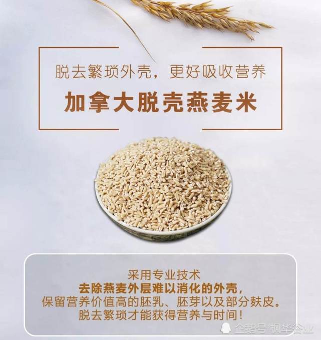 大麦米和燕麦米应该如何区别