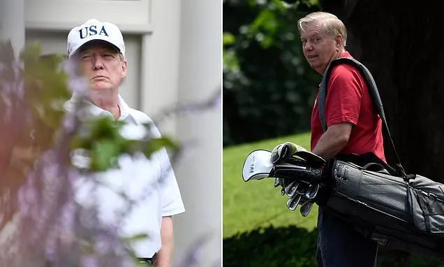 特朗普|特朗普重启新冠记者会画风大变！再提“中国病毒”就能扭转选情吗？