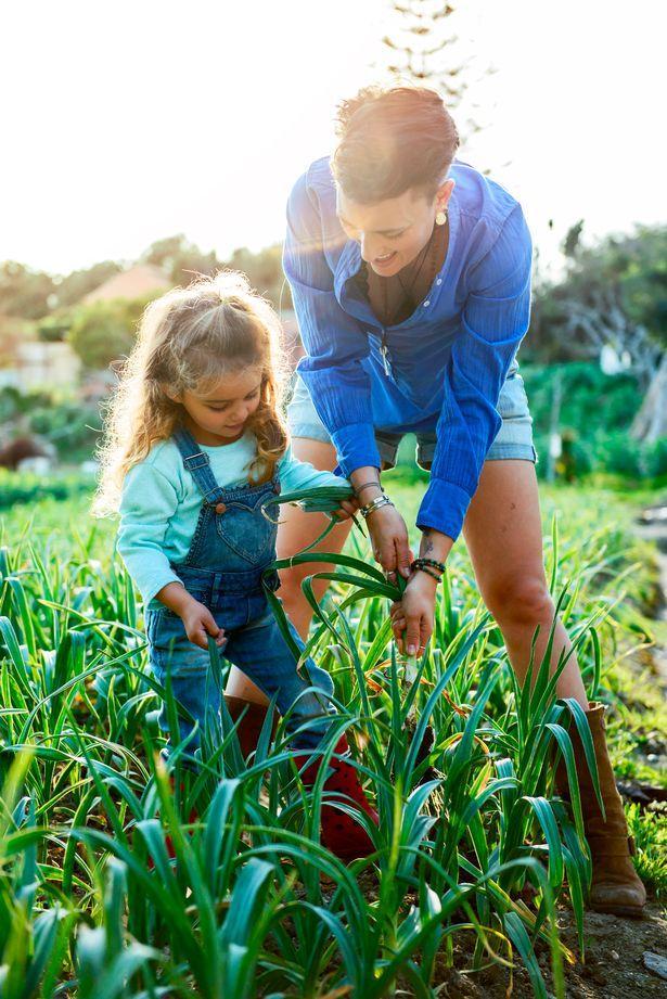一女|英女子无法生育，痛改生活方式吃素7个月，奇迹怀孕成功诞下一女