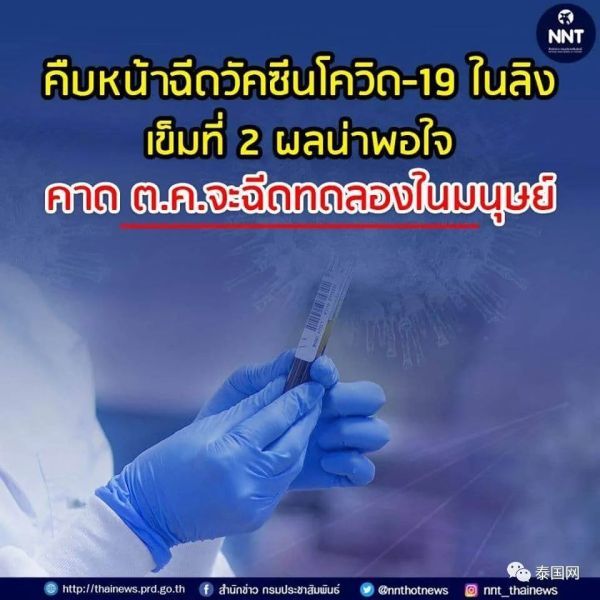 泰国疫苗猴体实验顺利卫生部长泰国病例少人体实验要去国外弄