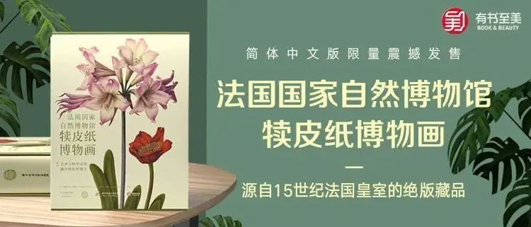 法国|这本14斤重的书里，藏着法国皇室400年不外传的珍品
