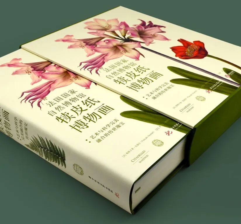 法国|这本14斤重的书里，藏着法国皇室400年不外传的珍品