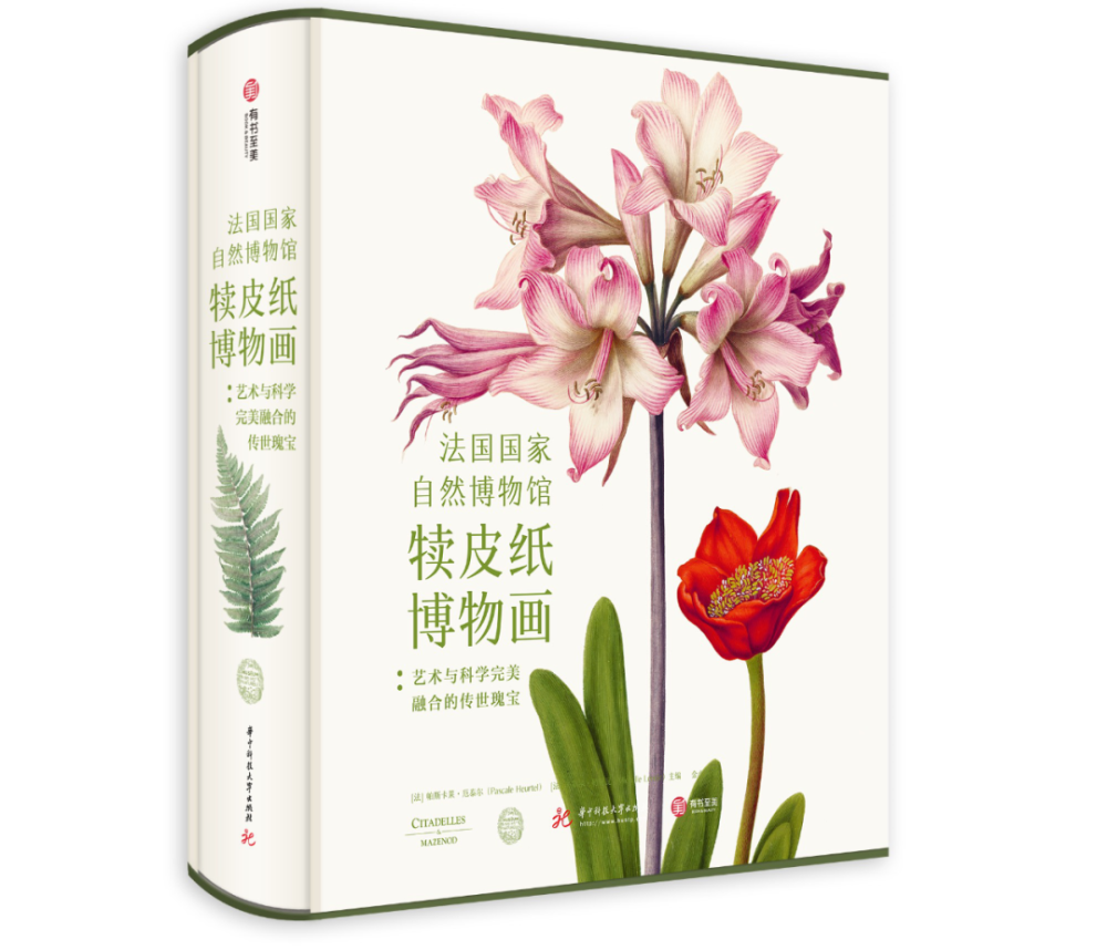 法国|这本14斤重的书里，藏着法国皇室400年不外传的珍品