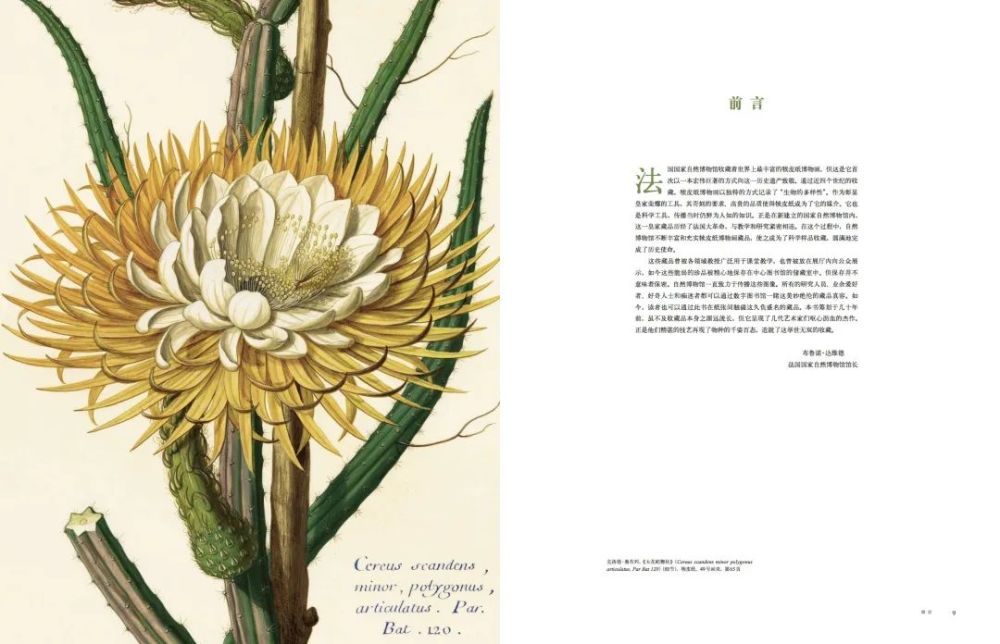 法国|这本14斤重的书里，藏着法国皇室400年不外传的珍品