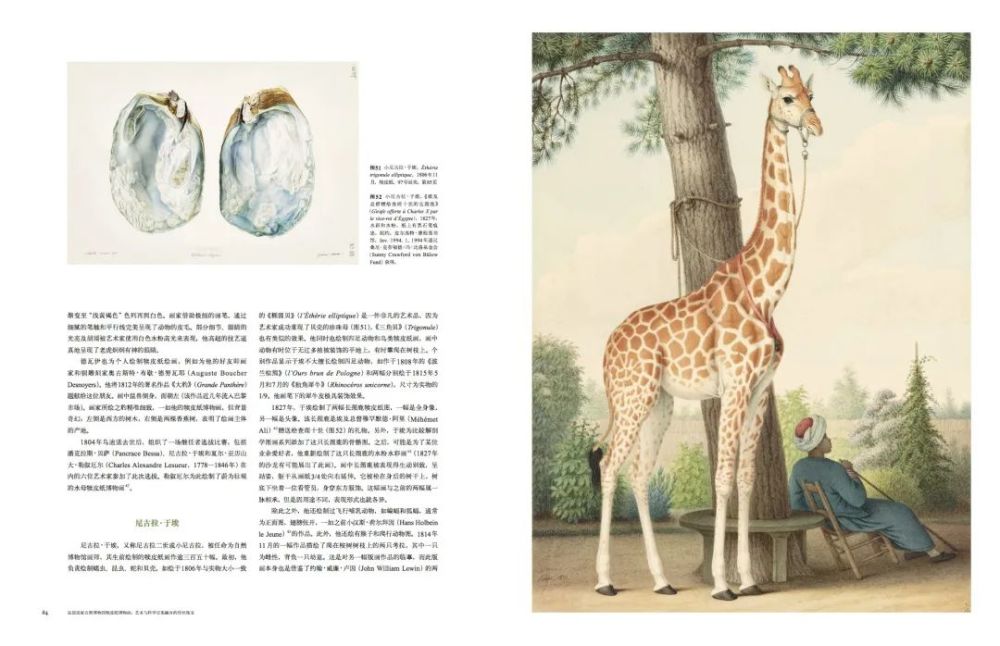 法国|这本14斤重的书里，藏着法国皇室400年不外传的珍品