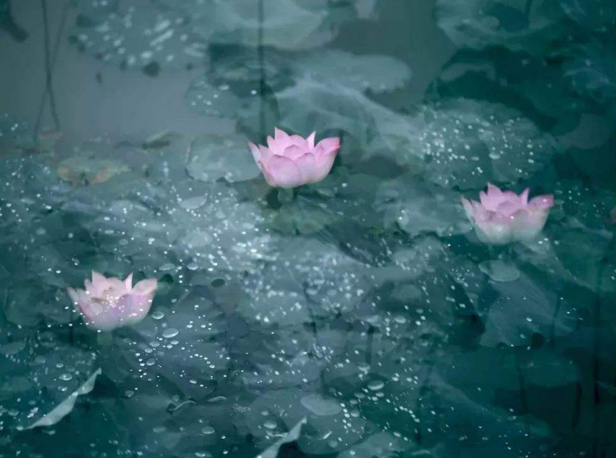 古诗词|【诗词鉴赏】 大暑已至 万物荣华 大雨时行，古诗词中的大雨！