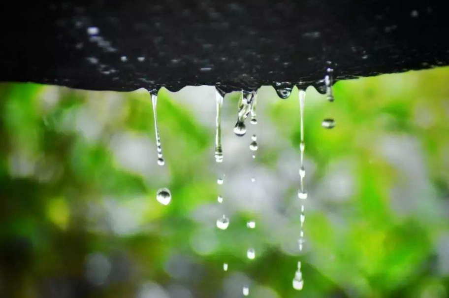古诗词|【诗词鉴赏】 大暑已至 万物荣华 大雨时行，古诗词中的大雨！