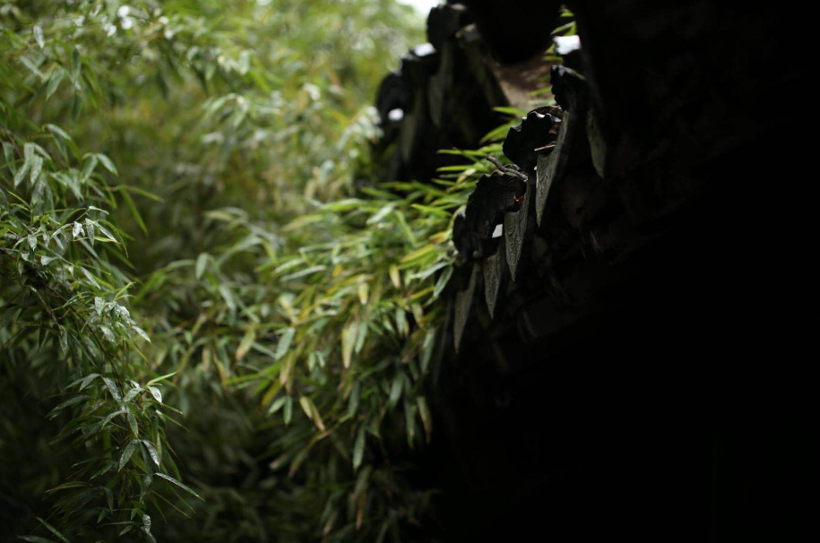 古诗词|【诗词鉴赏】 大暑已至 万物荣华 大雨时行，古诗词中的大雨！