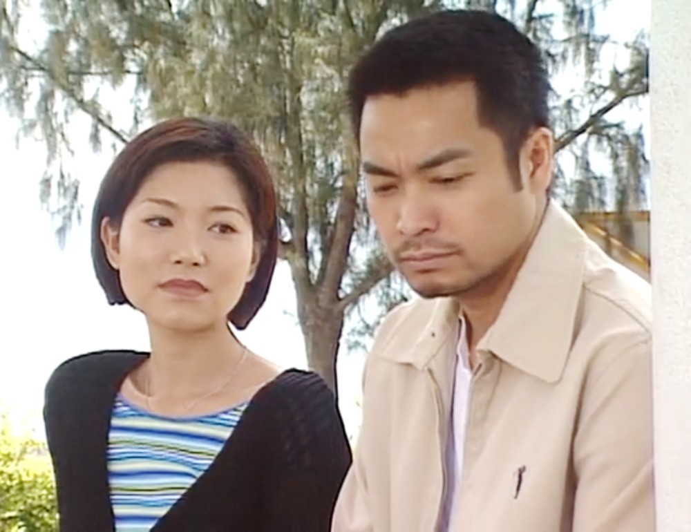 江静芝(潘芝莉)是补习班的老师,偶然间她认识了离岛特警杨家聪(吕颂贤