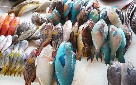 非洲人不明白 这种食物又腥又难吃 为何中国人却 视若珍馐 腾讯新闻