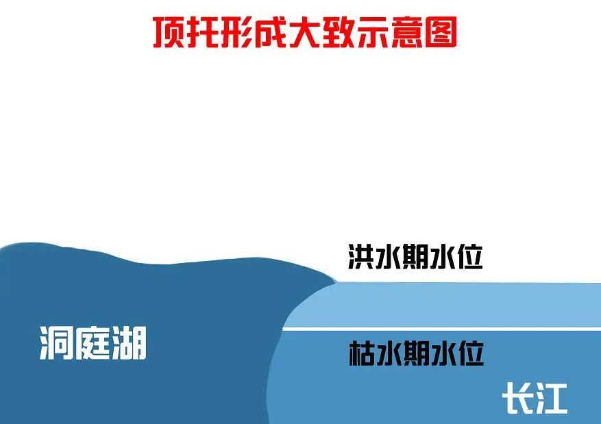 知识科普什么是顶托