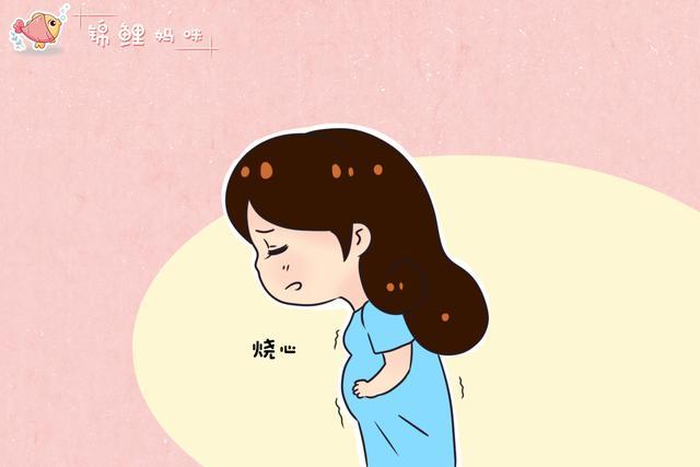 "孕妇反流十有五六",孕晚期"烧心反酸"挺折磨人,具体咋回事