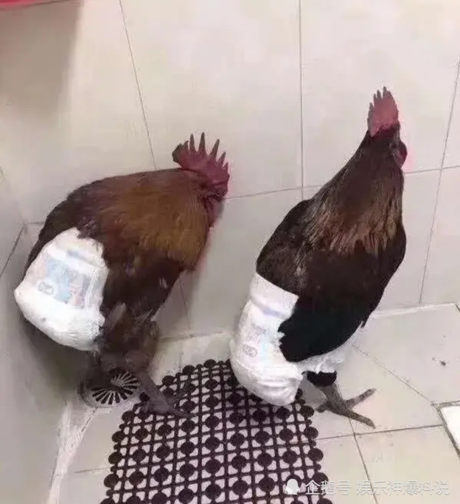 趣图|搞笑趣图：挖到这些绿宝石，够不够北京一套房！