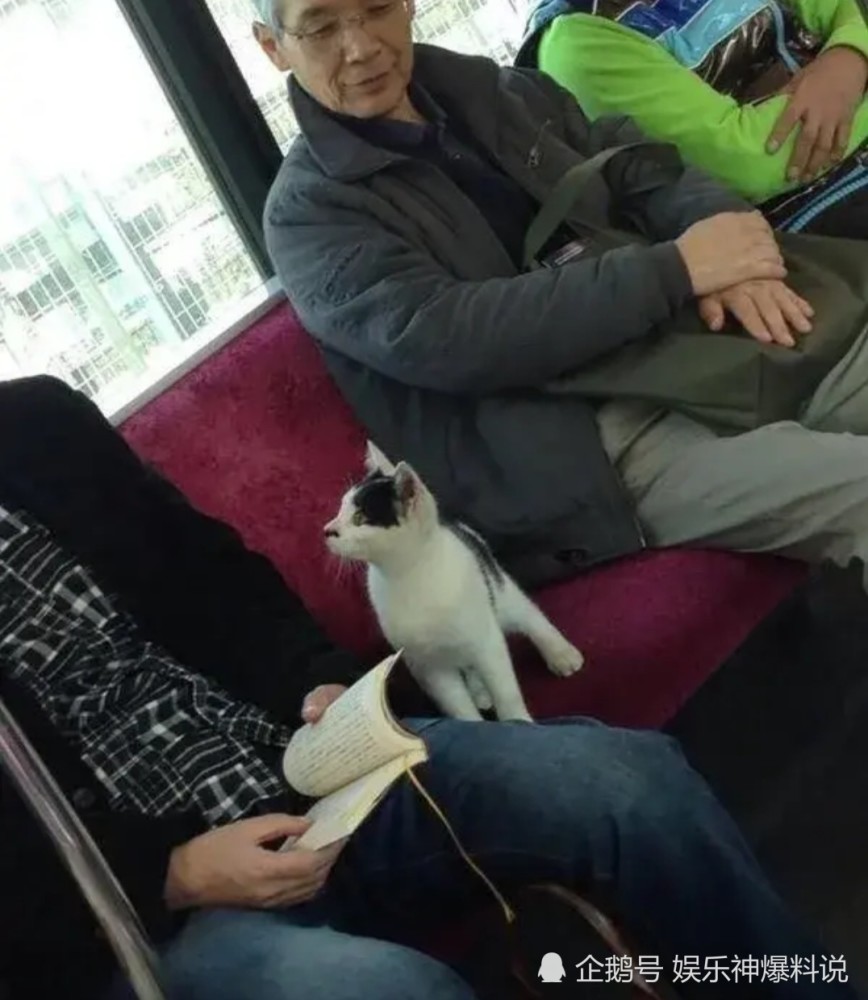 趣图|搞笑趣图：挖到这些绿宝石，够不够北京一套房！