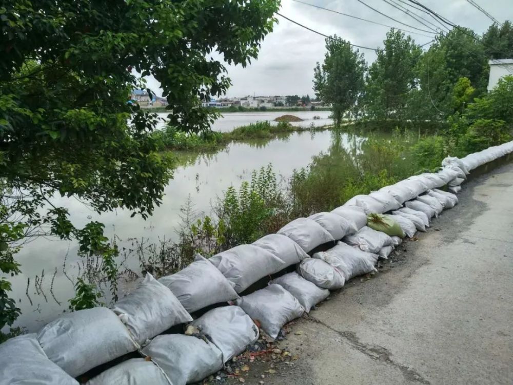 各级责任人均在岗在位,全面做好险情排查和隐患排查,同时落实巡堤查险