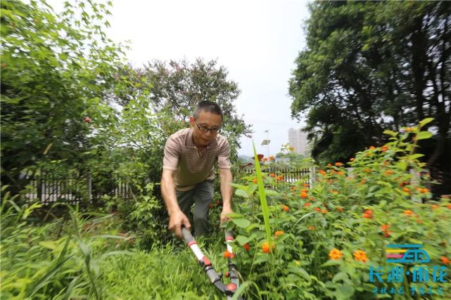 走出一个人 带富一村人 跳马乡贤返乡兴乡村 擘画打造 农业综合体 乡村 跳马镇 苗木 周文斌 邹志强