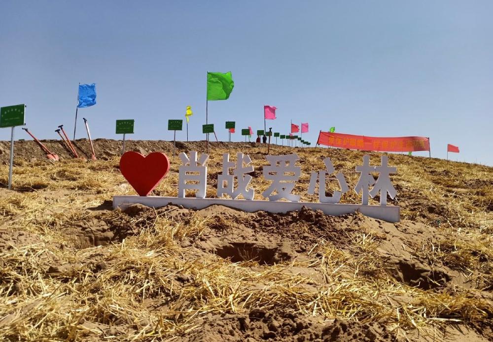 复出|肖战公益林广告现北京地铁大屏，粉丝助力复出，捐款已超过百万