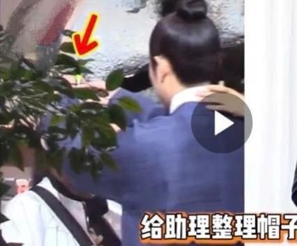 罗晋|罗晋跟女助理暧昧不清？两人举动引热议，罗晋回应爆粗口