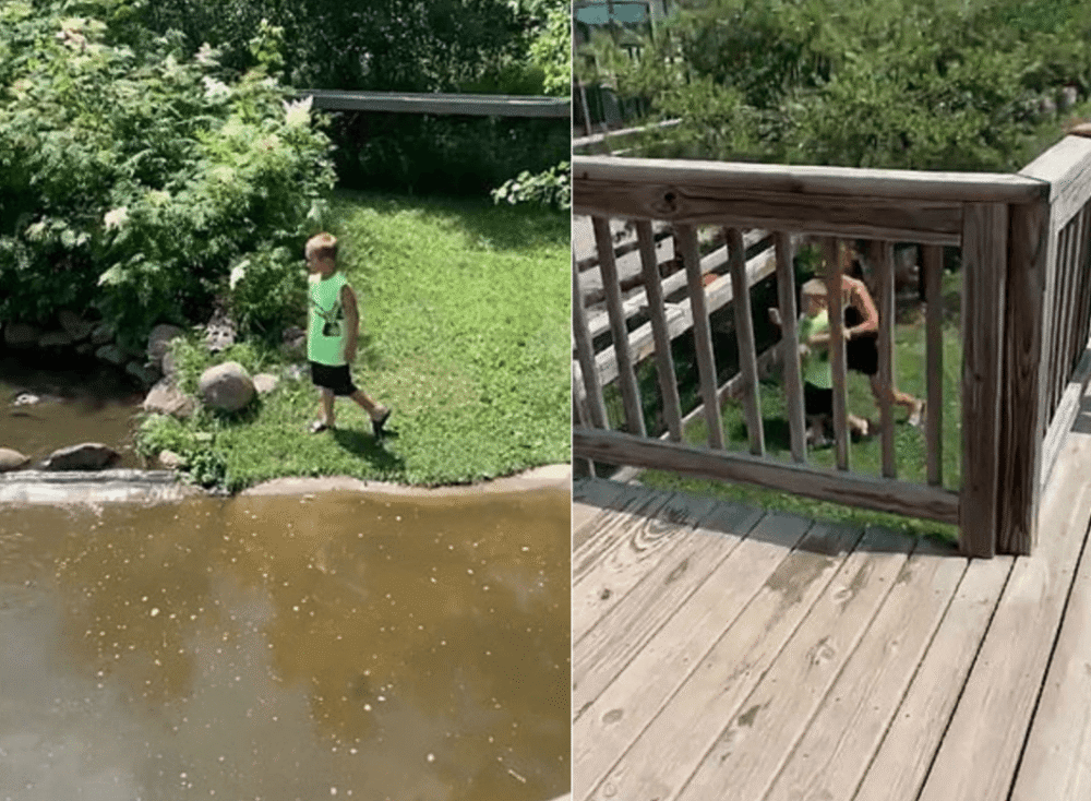 鳄鱼|美国妇女带儿子闯进动物园鳄鱼池，将手伸进水里打捞手提包