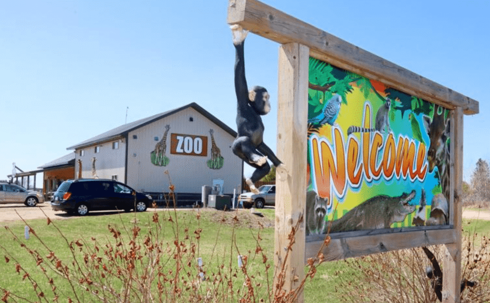 鳄鱼|美国妇女带儿子闯进动物园鳄鱼池，将手伸进水里打捞手提包