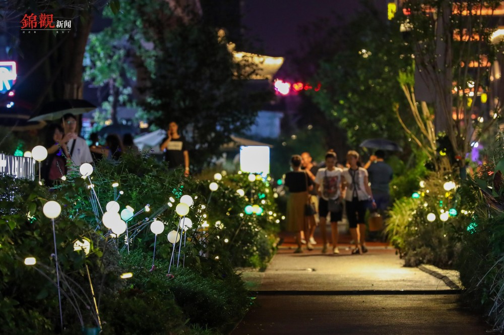 夏夜,来枣子巷邂逅"萤火虫"