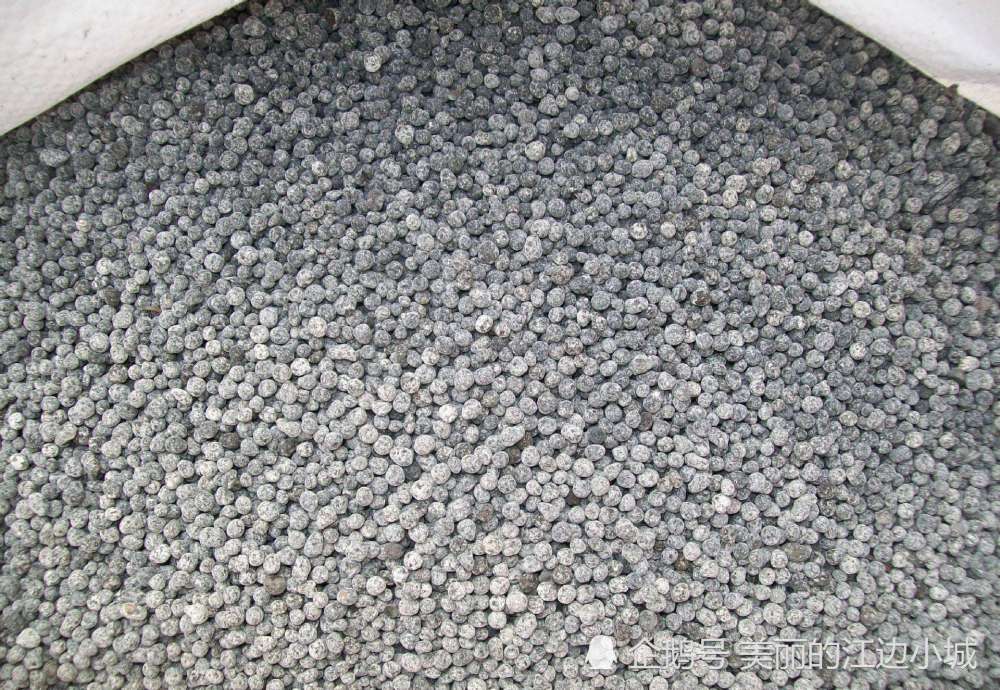 肥料|养花选肥要谨慎，很多人不知道好坏，只要选对了一定会事半功倍