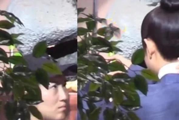 罗晋|罗晋被质疑出轨女助理，罕见发飙爆粗口回应，简单直接被赞爷们