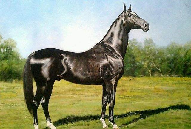 郭靖|郭靖要不是大款，黄蓉还能看上他吗？