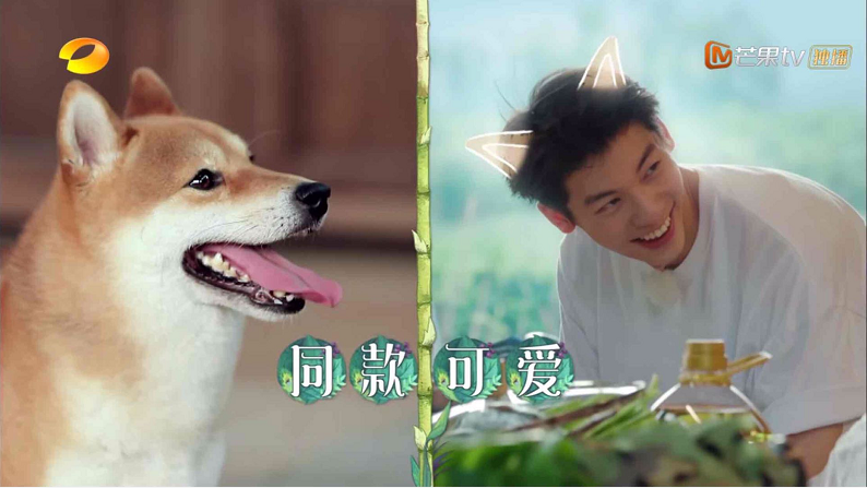 向往的生活|黄渤重返《向往的生活》，看到他的出场方式，忍不住让人“心疼”