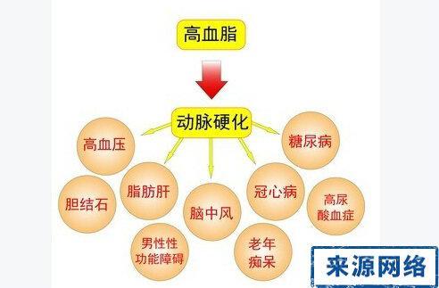 高甘油三酯血症|血脂检查只有甘油三酯升高，这是怎么回事？需要注意些什么？