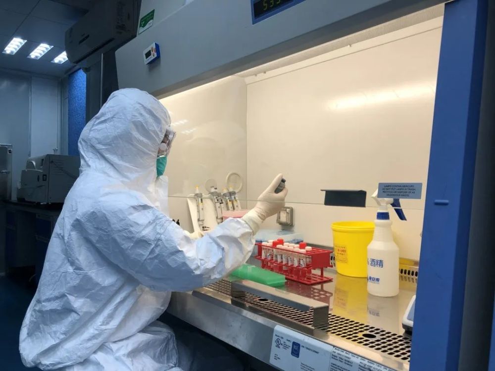 核酸检测|咽拭子刮喉痛不痛？采样后如何转运、检测？独家揭秘核酸检测那些事！