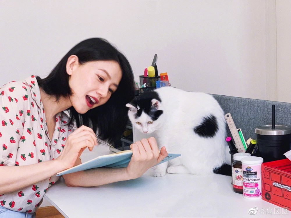 高圆圆|高圆圆素颜真容曝光无少女感，脸颊凹陷，眼袋极重引人心疼