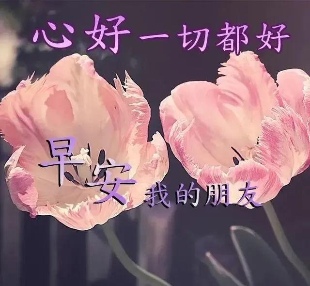 大家早上好祝福問候語特漂亮的早安祝福唯美圖片帶字溫馨