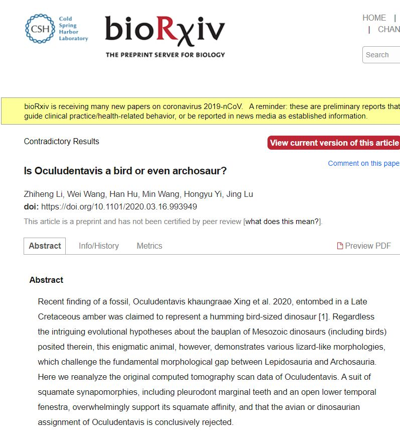 邢立达|Nature封面撤稿：邢立达等人的“史上最小恐龙”假说存疑