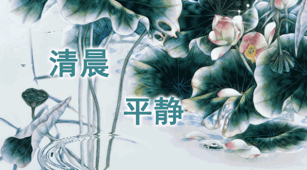 8张唯美好看的鲜花早上好动态图片带字 早安图片祝福问候句子 鲜花 唯美 我的朋友