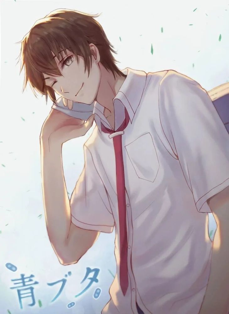 梓川咲太x樱岛麻衣青春猪头少年系列