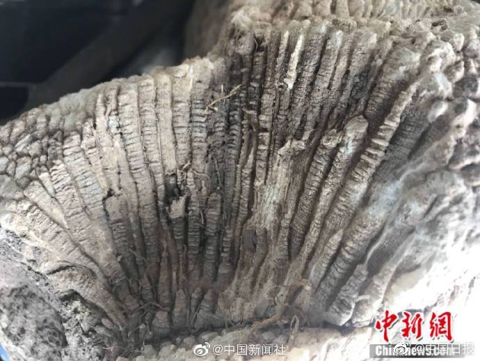 点击图片看原样大小图片