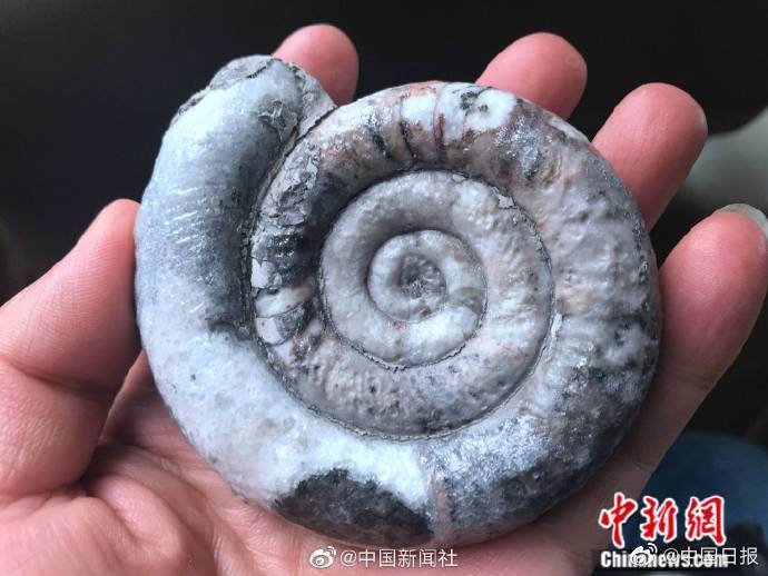 点击图片看原样大小图片