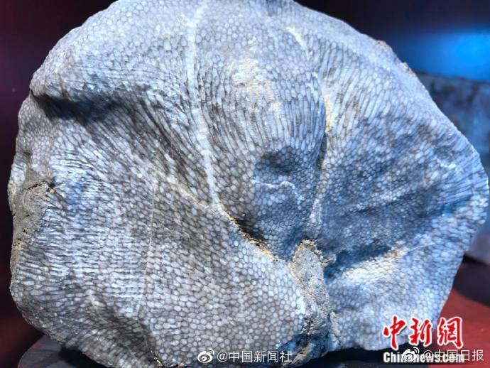 点击图片看原样大小图片