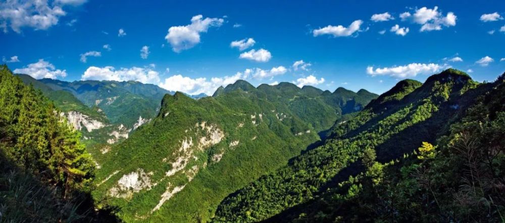 巴人|【方志四川 历史文化】刘渠‖巴人賨人板楯蛮