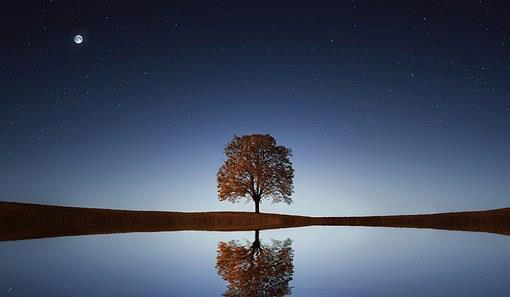 中庸之道|“知者过之，愚者不及”