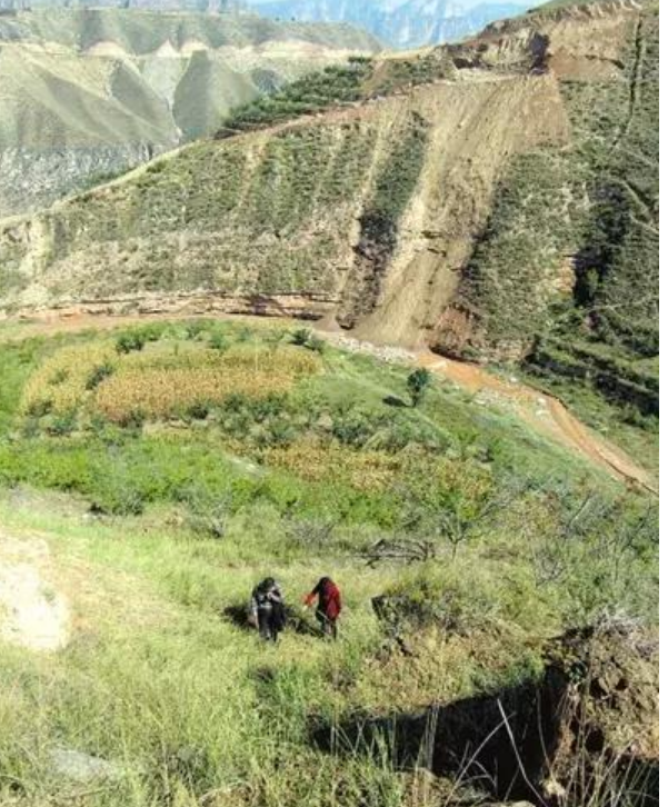 陶罐|1950年，三坪村出土了一件彩陶之王，当地的农民一开始用它装馒头