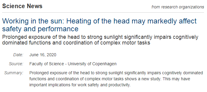 皮肤|人真的能被“晒”笨！丹麦实验发现：阳光直射让大脑受损